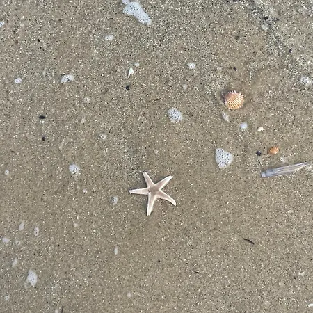 Maison Lagune Bleu Casa vacanze *